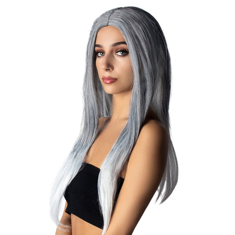 ANXIN WIG FACTORY Costume Accessories Straight Grey and white Wig for Adults 810077656686