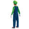 DISGUISE (TOY-SPORT) Costumes Nintendo Super Mario Bros Luigi Overalls Costume for Kids, Blue Overalls and Accessories