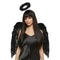 Hangzhou Youzhou import & Export Co. Costumes Accessories Black Feather Kit for Adults, Wings and Halo