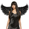 Hangzhou Youzhou import & Export Co. Costumes Accessories Black Feather Wings for Adults, 36 Inches, 1 Count 810077659090