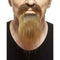 MUSTACHES Costume Accessories Brown Mustache and Beard, 1 Count 4772036001936
