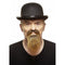 MUSTACHES Costume Accessories Brown Mustache and Beard, 1 Count 4772036001936