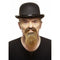 MUSTACHES Costume Accessories Brown Mustache and Beard, 1 Count 4772036001936