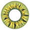 PRIMAL CONTACT LENSES Costume Accessories PRIMAL® Himiko Toga - Yellow Coloured Contact Lenses, 3 Month Usage 628153229880