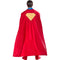 RUBIES II (Ruby Slipper Sales) Costume Accessories Superman Cape for Adults, Dc Comics 195884119617