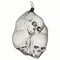 SUNSTAR INDUSTRIES Halloween Bag of Skulls, 1 Count